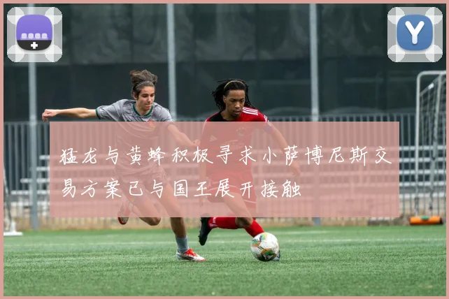 猛龙与黄蜂积极寻求小萨博尼斯交易方案已与国王展开接触